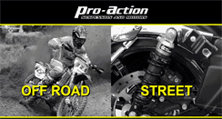 Desktop Screenshot of pro-action.com